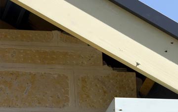 soffit repair Boho